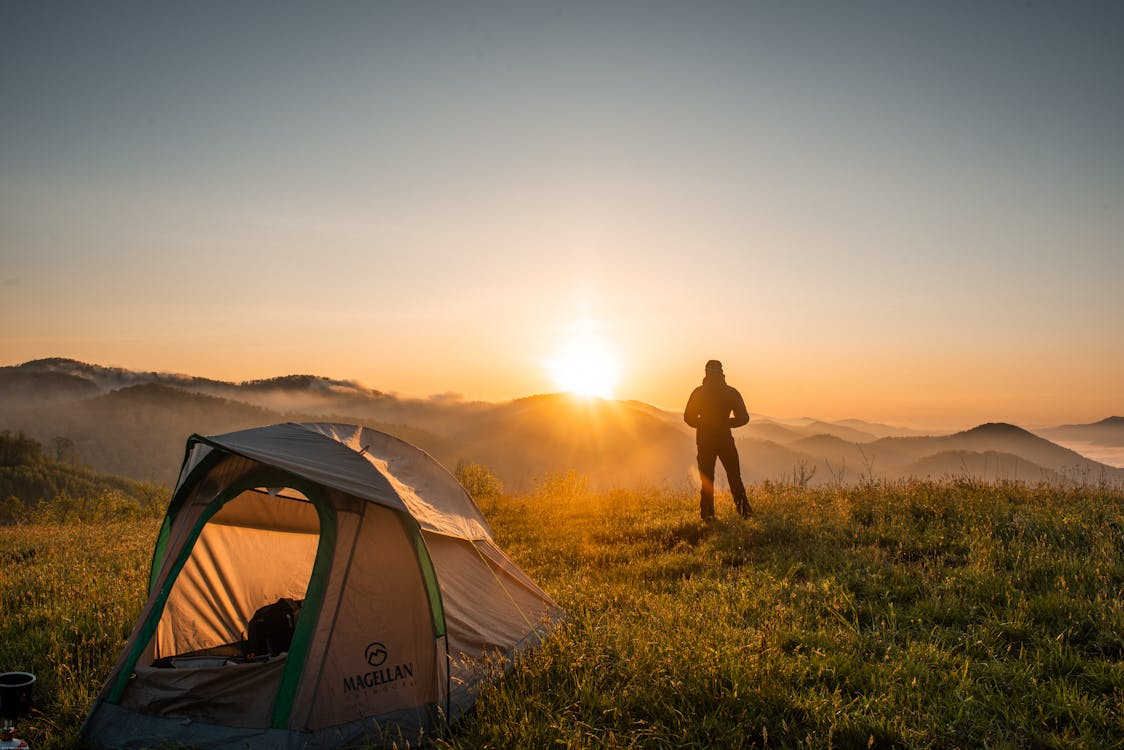 Camping With Pets – Tips for a Pet-Friendly Adventure